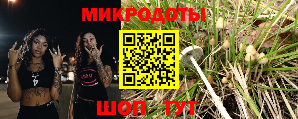 Псилоцибиновые грибы GOLDEN TEACHER Белая Калитва